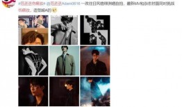 伤痕最新爆料视频,最新视频揭秘惊人内幕